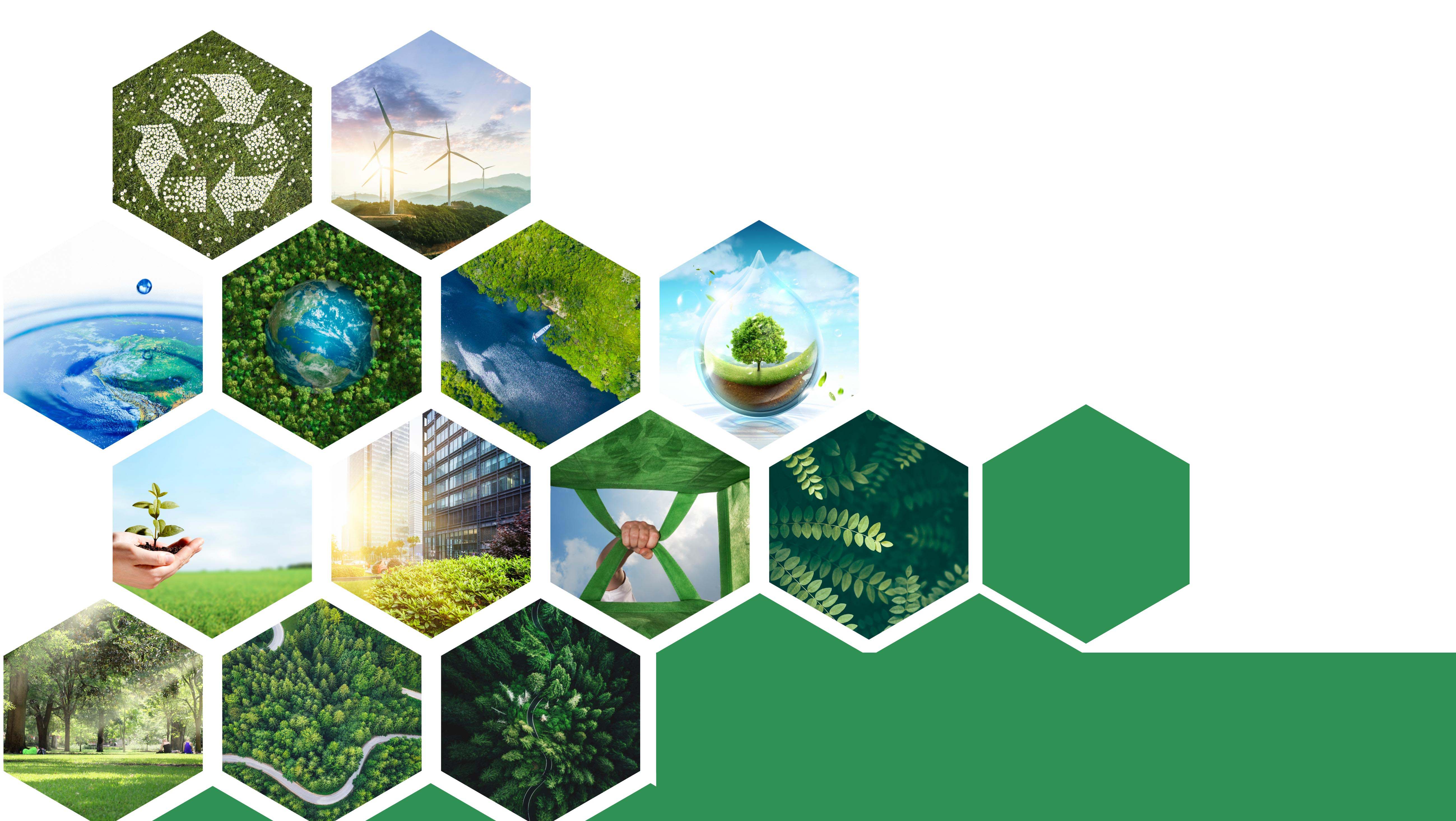 �羺���¹���